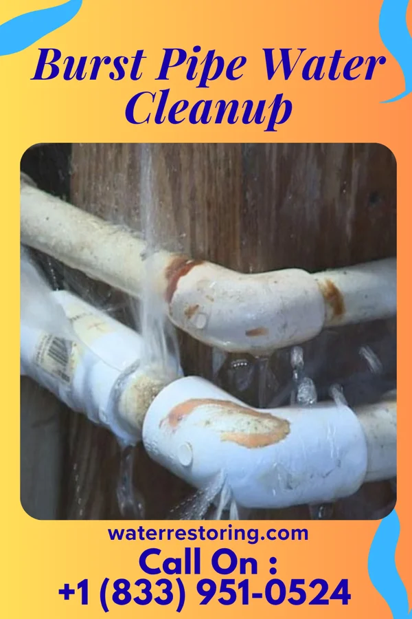 Burst Pipe Water Cleanup in Waco, NE