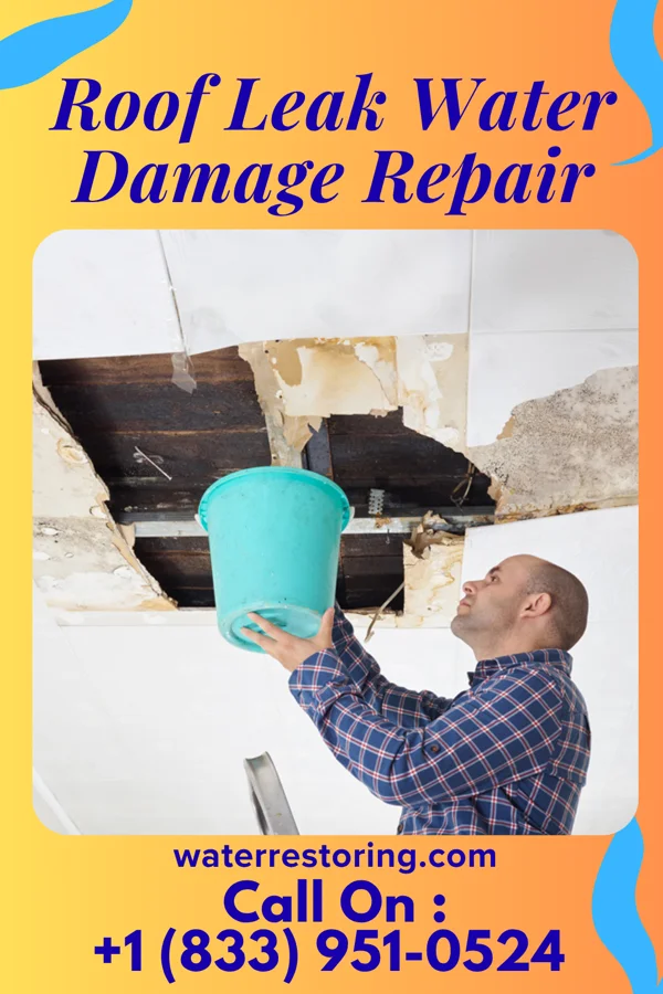 Roof Leak Water Damage Repair in Waco, NE