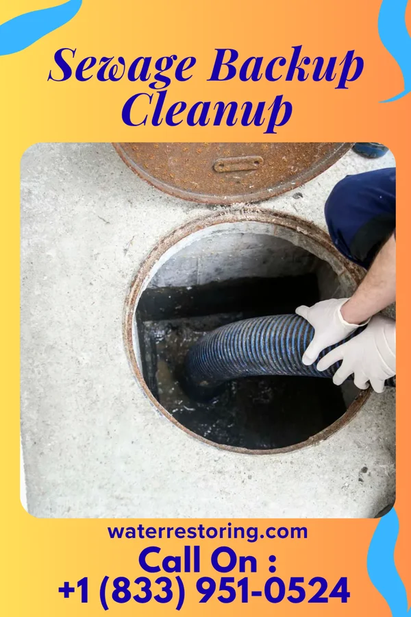 Sewage Backup Cleanup in Waco, NE